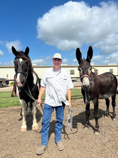 Jonathan Killian with Amos and Sweet Pea, at 4C Stables, Waxahachie, TX